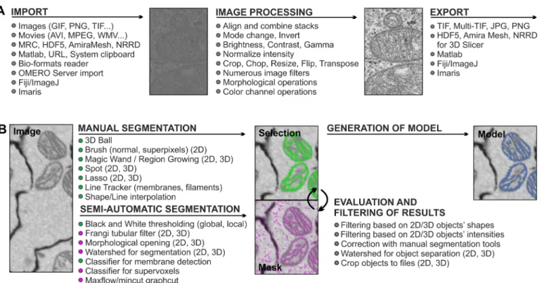 Fig 1. MIB recognizes a large array of imaging formats and offers many essential image processing tools