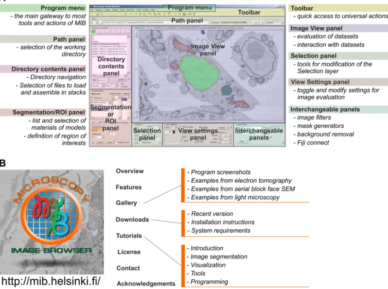 Fig 5. MIB has a user-friendly graphical user interface and is freely available from the website