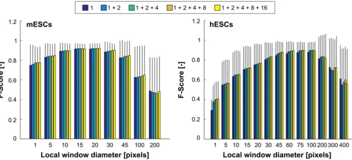 Figure 5. Segmentation performance in function of the local window diameter (w) for different combinations of BIFs scales