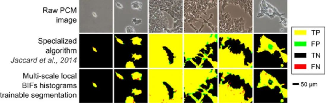 Figure 7. Segmentation performance of the proposed scheme (multi-scale BIFs histograms), Ilastik and Weka trainable segmentation for the mESC data-set