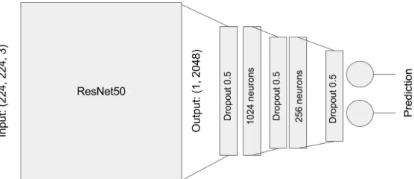 Figure 3.4: Architecture of the network after adding dropout.