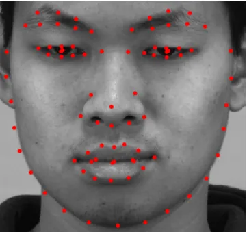 Figure 3.2: 83 points detected by Face++. It is also possible to reduce the amount of points calculated to 5 or 25, if necessary.