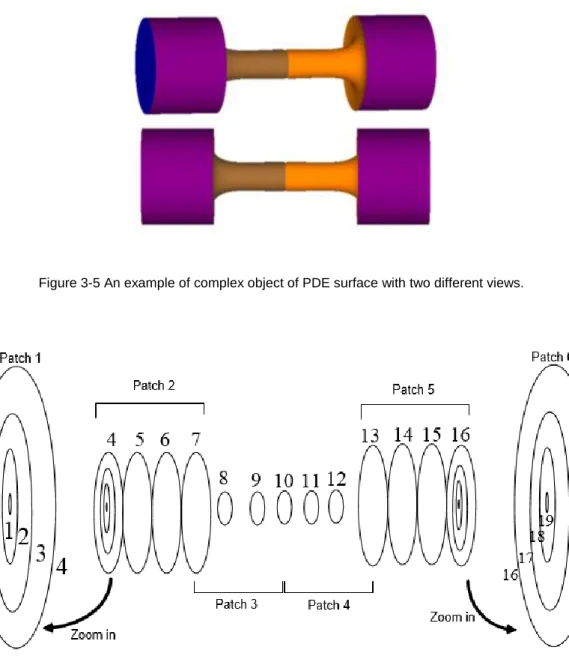 Figure 3-5 An example of complex object of PDE surface with two different views. 
