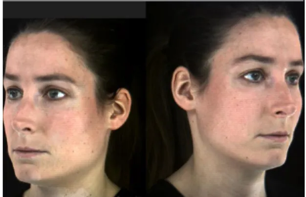 Figure 4-2  Example of face model taken from database. (a) two pod half-face image (b) face model  with texture 