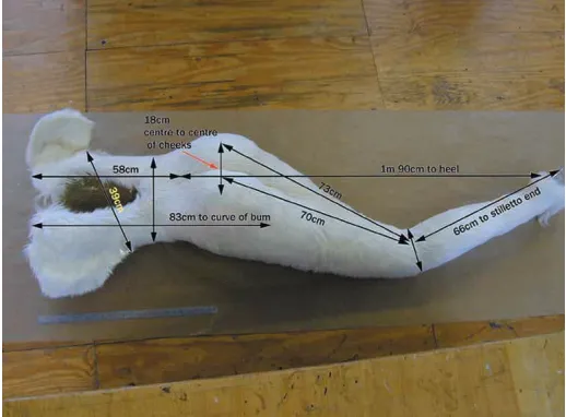 Fig. 1. Working model in development. Development stage of themay help establish cultural differences in how the figure is touched atrecording the area of contact via a computerised system