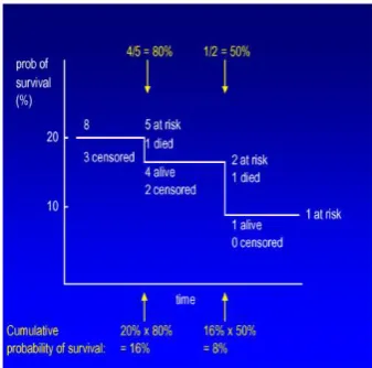 Figure-1 (b): It is an instance on how to calculate the fraction of survival at a time