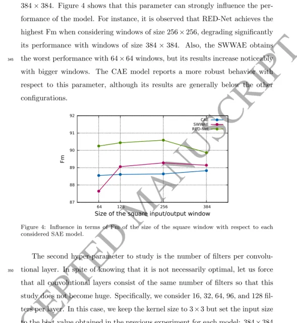 Figure 4: Influence in terms of Fm of the size of the square window with respect to each considered SAE model.