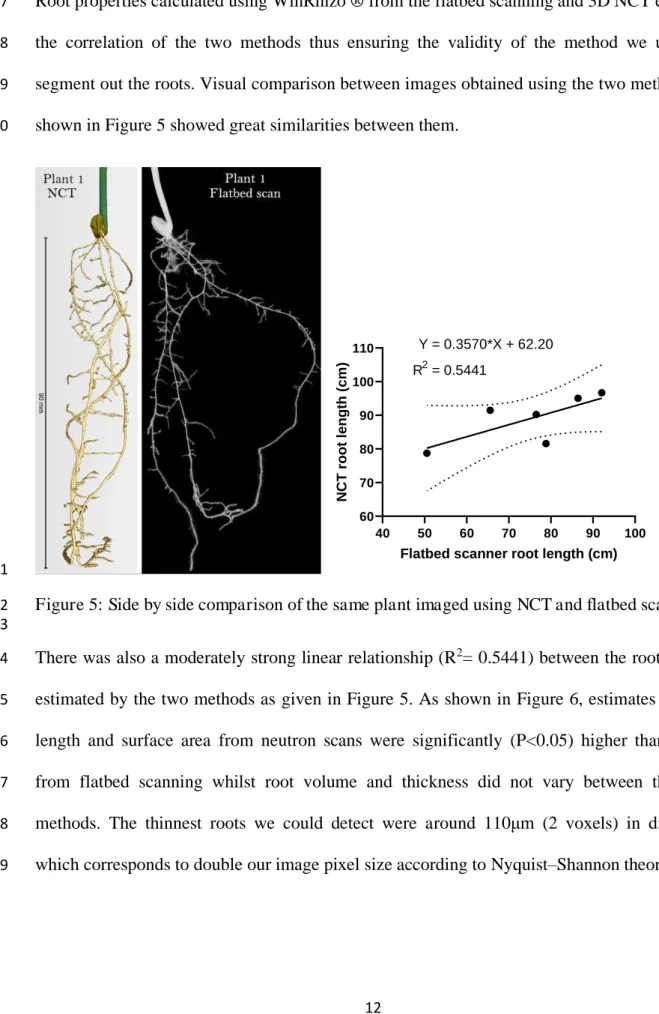 Figure 5: Side by side comparison of the same plant imaged using NCT and flatbed scanning 252 