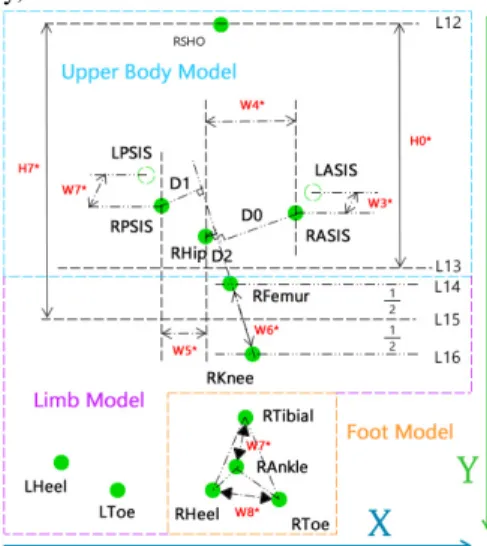 Fig. 2. Sagittal Model (Right Hand Side). 12 visible markers are marked with green circles