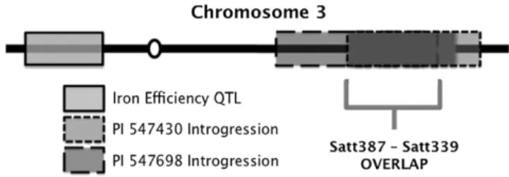 Table I. Polymorphic SSR markers screened in the two NILs Comparison of polymorphic markers between the two recurrent parents and T203