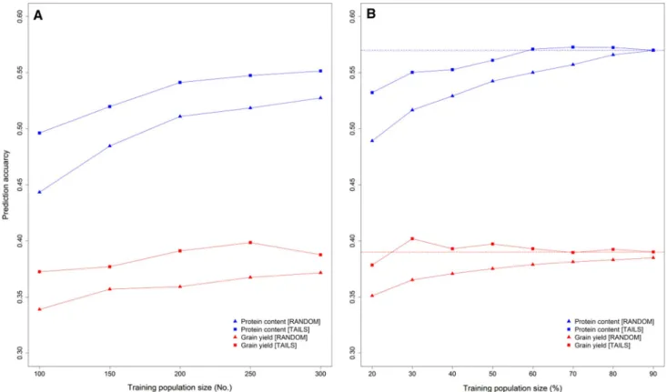 Fig. 1   Effect of the training population design on the prediction  accuracy for grain yield and protein content
