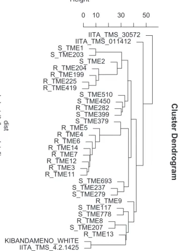 Fig. 5. A hierarchical clustering tree based on dissimilarities between a selection of landraces using of 2069 SNP markers