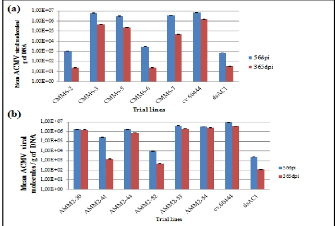 Figure  2.  11  Mean  ACMV  viral  molecules/g  of  DNA  at  365  dpi  compared  to  mean  viral  molecules/g of DNA at 56 dpi, quantified using real time absolute qPCR, (a) ACMV infected  CMM6 transgenic lines, infected untransformed cv.60444 and infected