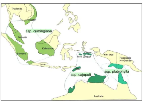 Figure 1. Distribution of the sub-species of Melaleuca cajuputi (Wikimedia, 2018) 