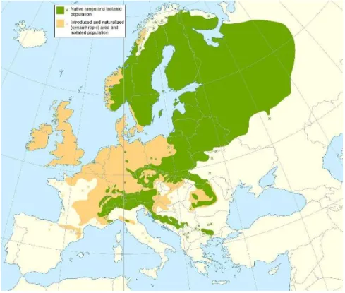 Figure 2. Distribution of Norway spruce (Caudullo et al., 2017) 