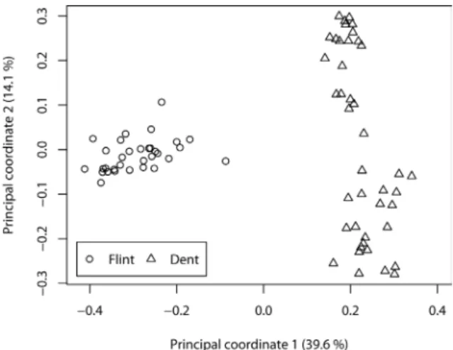 Figure 1 - Principal coordinate analysis based on Rogers'  distance estimates. Flint lines (open circles) dent lines  (tri-angles).