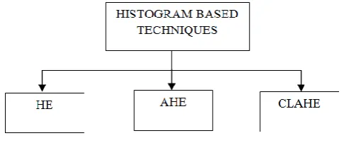 Figure 1. Histogram Based Techniques 