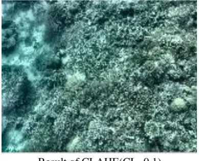 Figure 6. Performance of HE, AHE, CLAHE  on Underwater image C 