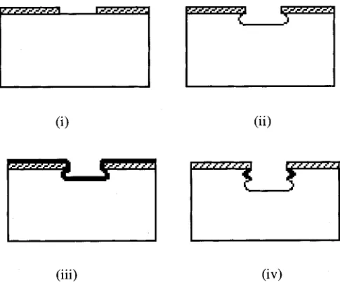 Fig. 1.TMDE scheme. (i) Patterned masking material on a silicon wafer.(ii)Silicon etching cycle