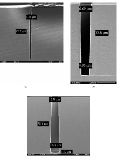 Fig. 7.(a) Deep trench in silicon with aspect ratio of 24 and a depth of nearly 100 �m