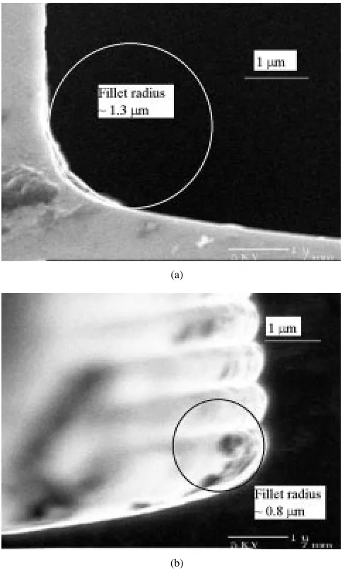 Fig. 8.The finite element mesh for the RHFS specimen and the indenter.