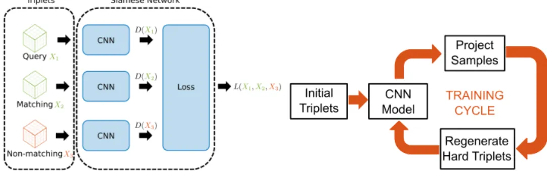 Figure 4: Illustrations of the concepts used in the training of our CNN.