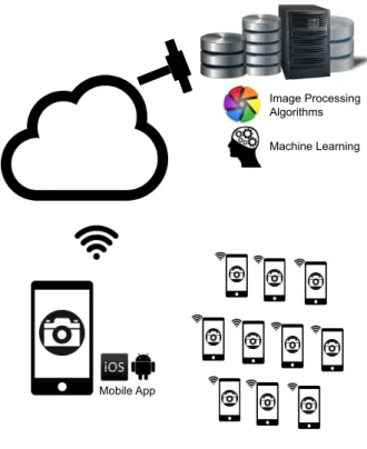 Figure 1 shows a high level view of the FishAPP soft- soft-ware architecture. FishAPP provides a lightweight mobile app designed for the two most widespread mobile platforms