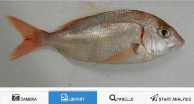 Figure 3. Example of anatomical set points proposed by FishAPP image processing unit