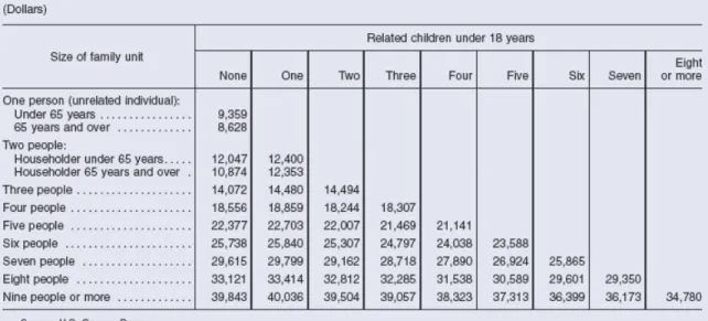 Figure 1: Poverty thresholds table. 