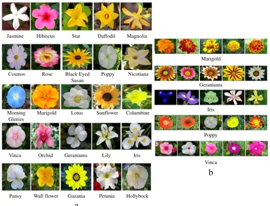 Fig. 3. (a) Sample flower images of 25 flower classes considered in this work. (b) Sample images of five different classes with large intra-class variations.