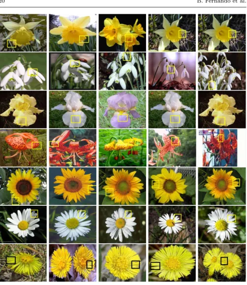 Fig. 6: Each row represents the most relevant FLH pattern for a given flower category