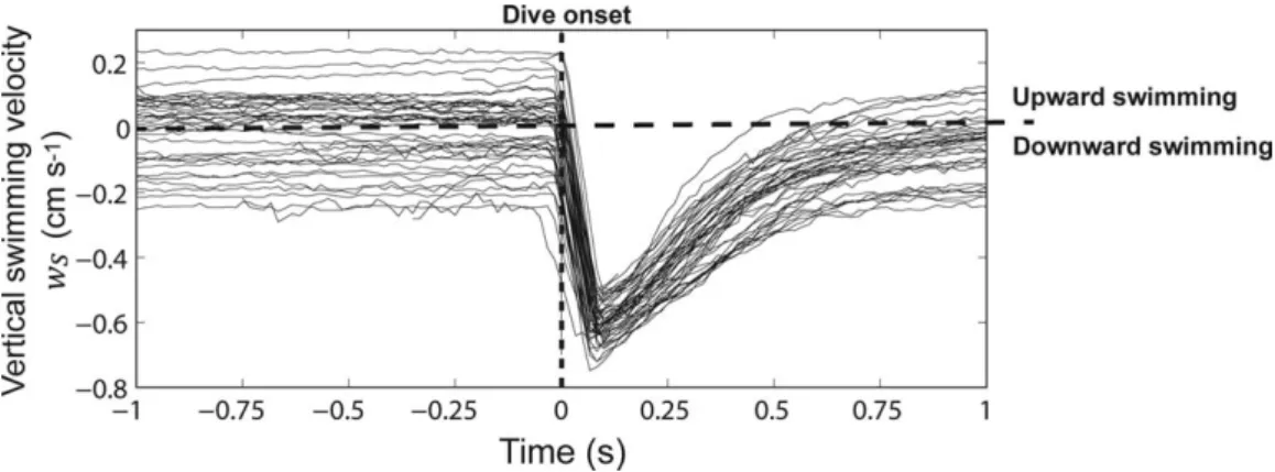 Fig. 3A). The intersection of these temporal intervals is 1.33–