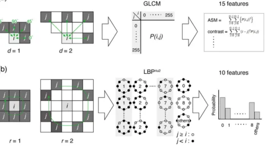 Fig. 2. Feature extraction procedures. (a) GLCM. (b) LBP riu2 .