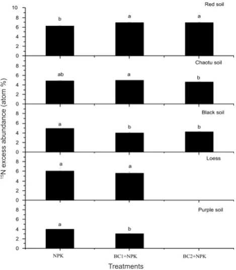 Fig. 2. 15N excess abundance in maize plant from the five soils amended with 1% biochar