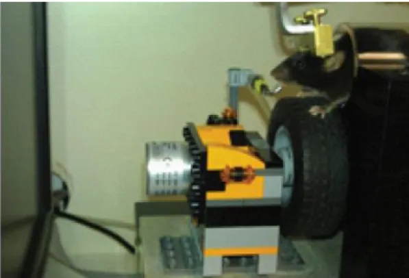 Figure 2-1 Training setup used for wheel tasks. 