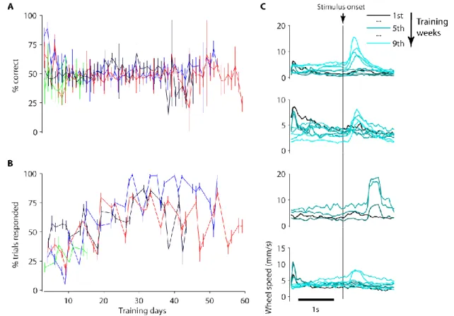 Figure 2-2 Mice failed to learn version 1 of perceptual discrimination task. 