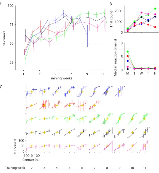 Figure 2-4 Mice learned to correctly report stimuli once visual interaction was introduced  (task version 2)