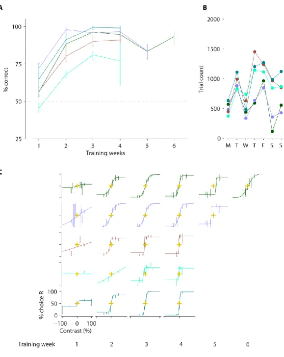 Figure 2-6 Rapid acquisition of task version 3. 