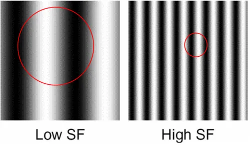 Figure 1.3. Low and high spatial frequency sine wave gratings. (New York University 