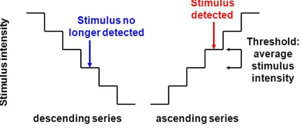 Figure 3.2. Examples of ascending and descending series in the method of limits  (Larsson, 2019)