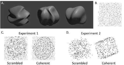 Figure 2.1. Examples of stimuli used in the structure-from-motion experiments. A. Novel  3D shapes used in Experiment 1