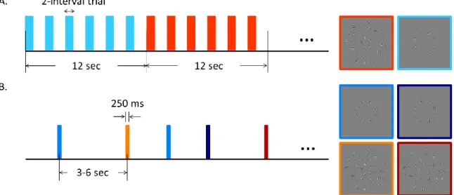 Figure 3.2. Experimental procedure. A. An example of block-designed functional 