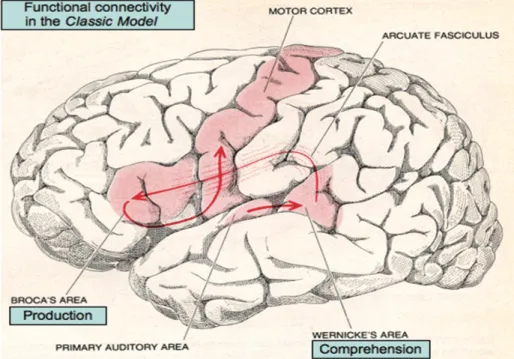 Figure 1. Classic language network model (Geschwind, 1979).  