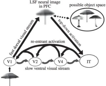 Figure 8. Interactive Model 