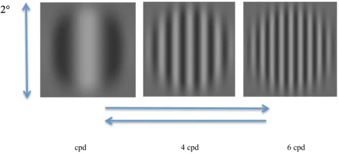 Figure 10. Direction discrimination task 