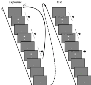 Figure 1. Depiction of example exposure and test sequences. No exposure trials consisted of only the test portion