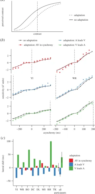 figure 3b). For each participant, condition of adaptation and sign of asynchrony (positive or negative), we fitted the dprime measures using the following three-parameter transducer
