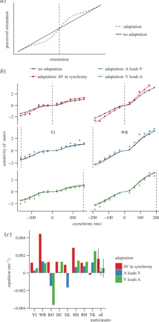Figure 4. Repulsion. (a) Repulsion of orientation. (b) Sensitivity as a function of the asynchrony for participants YI (left) and WR (right) for the different conditions