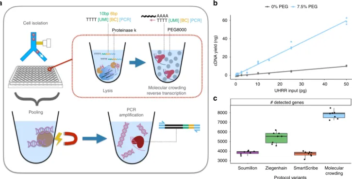 Fig. 1 mcSCRB-seq work ﬂow and the effect of molecular crowding. a Overview of the mcSCRB-seq protocol workﬂow