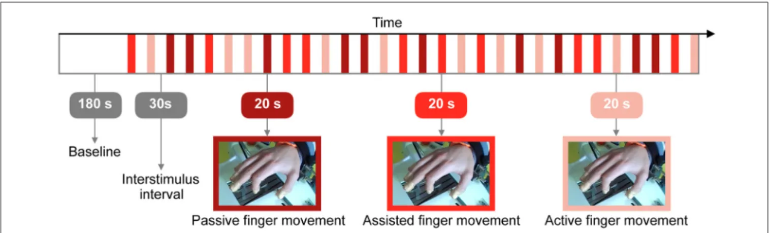 FIGURE 2 | Visualization of the research protocol involving three different types of tasks: passive, assisted and active finger movement